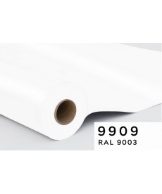 S6700 B-ROOF, 1000 g/m2, szer. 300 cm - rolka 50 mb